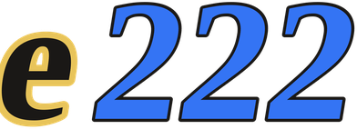 e222 logo